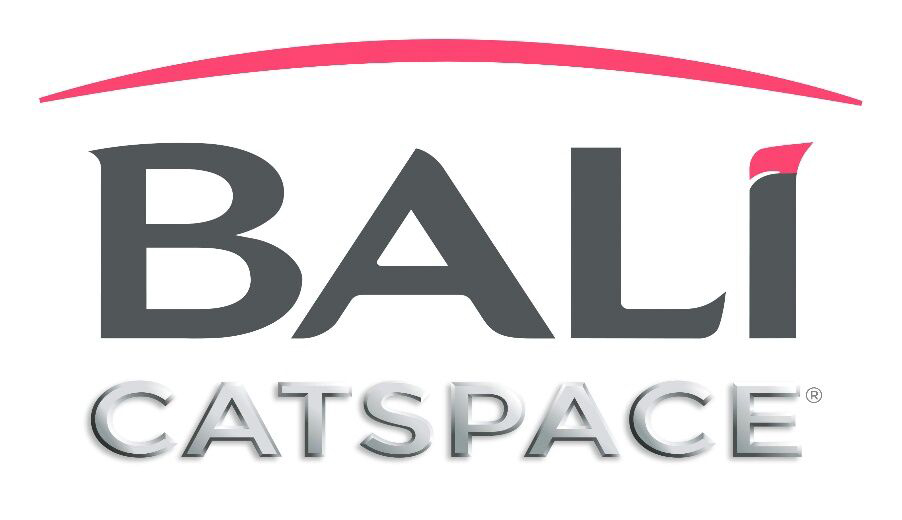 Bali Catspace 40 is Coming to the Whitsundays